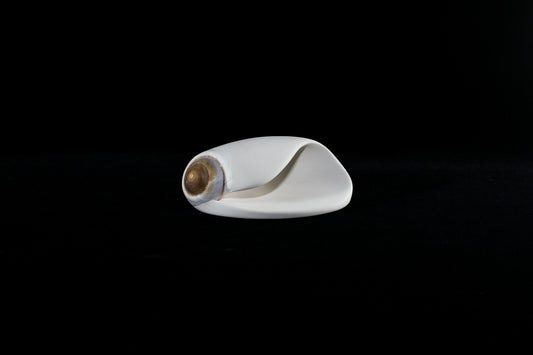 Snail (Mollusca series #7), 2026